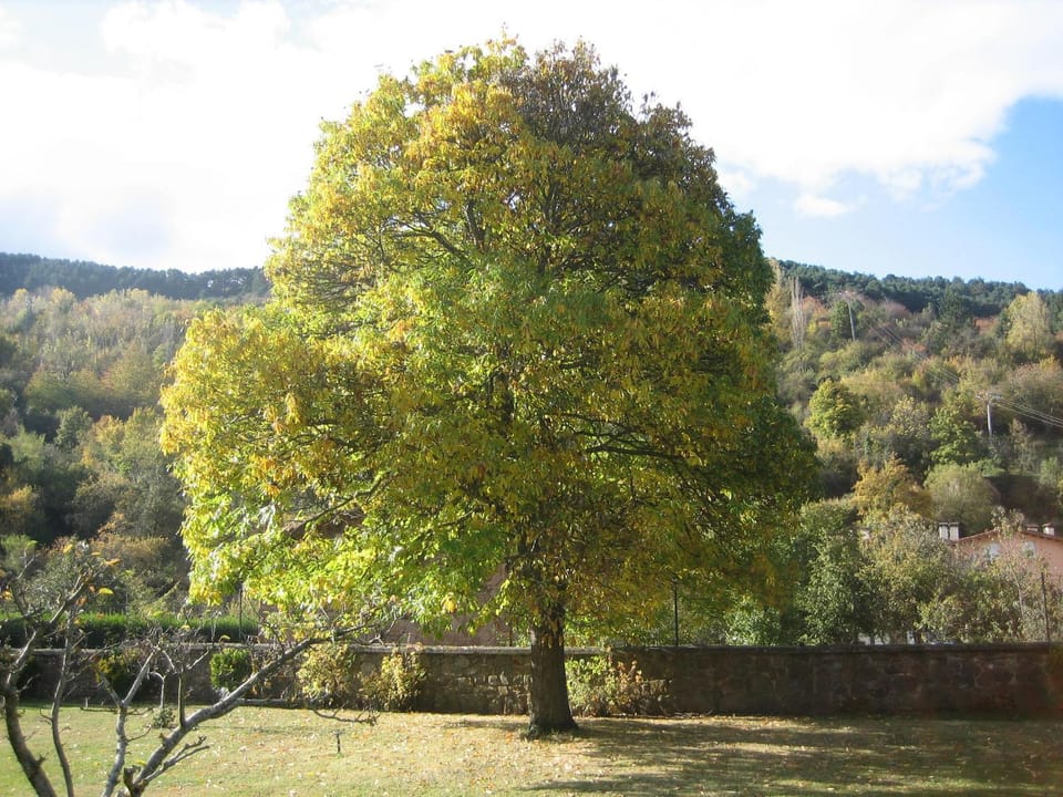 Garden, Garden