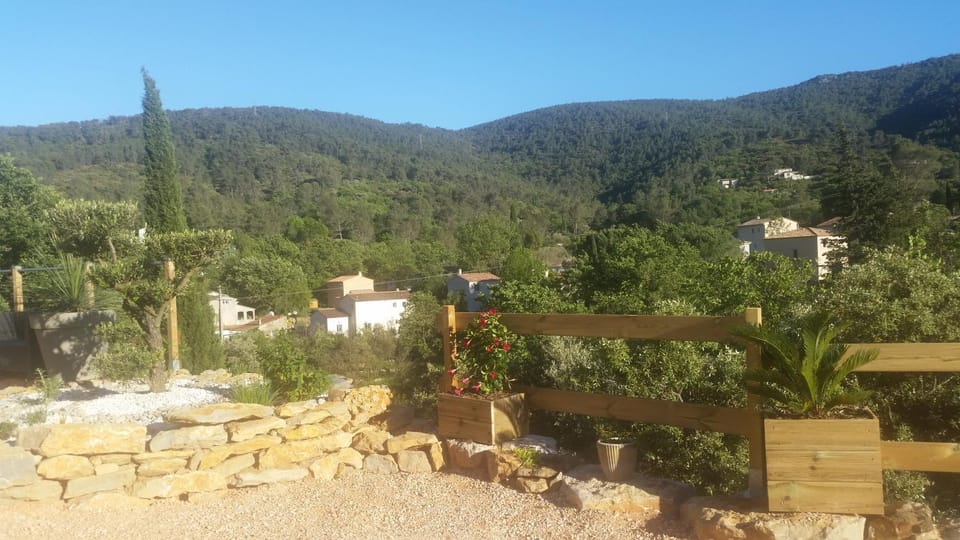 Mountain view