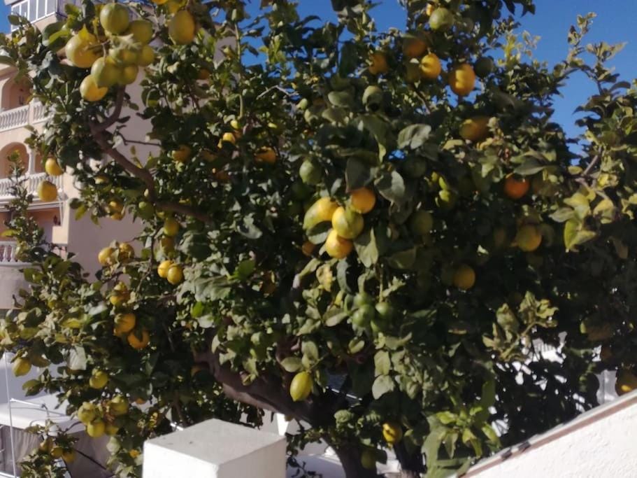 Karine House in Alt Empordà