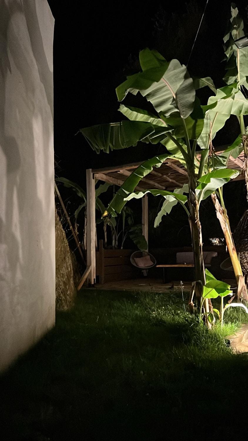 Night, Garden