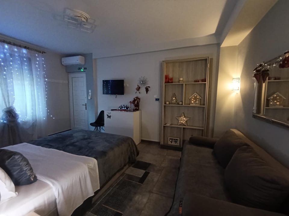 Studio Santa Monica Vacation rental in Trikala