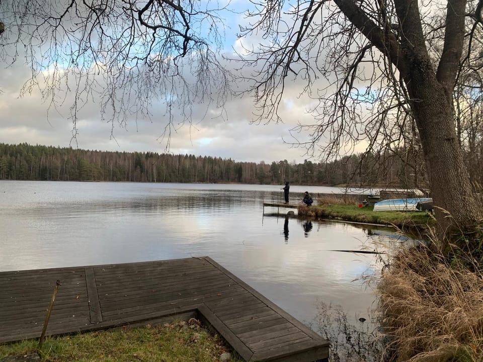 Lakeview Villa Vacation rental in Sweden
