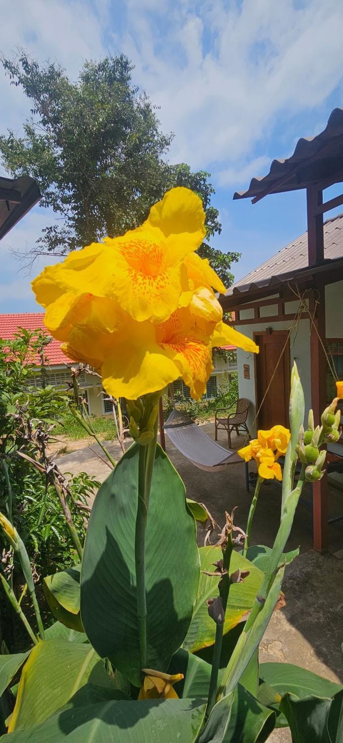 The Small Guest House Inn in Sihanoukville