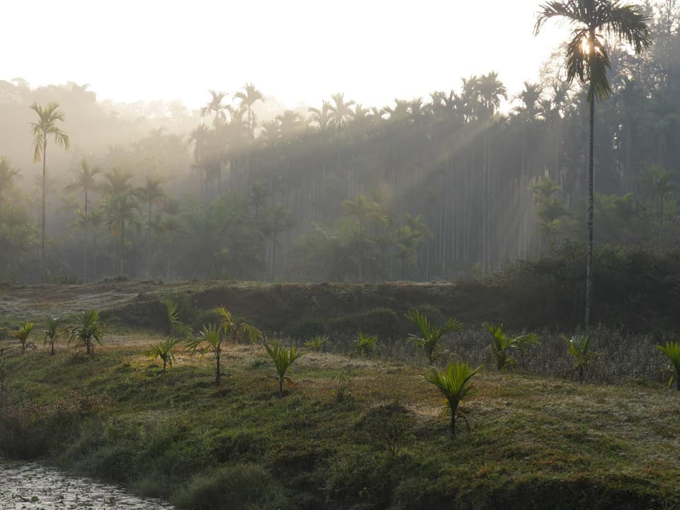 Natural landscape, Hiking