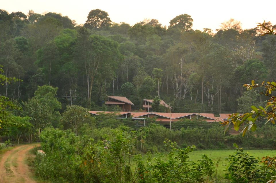 Natural landscape