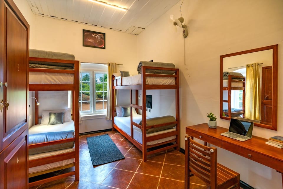 Bed, Photo of the whole room, bunk bed