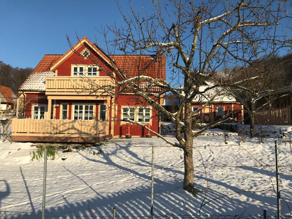 Property building, Day, Winter