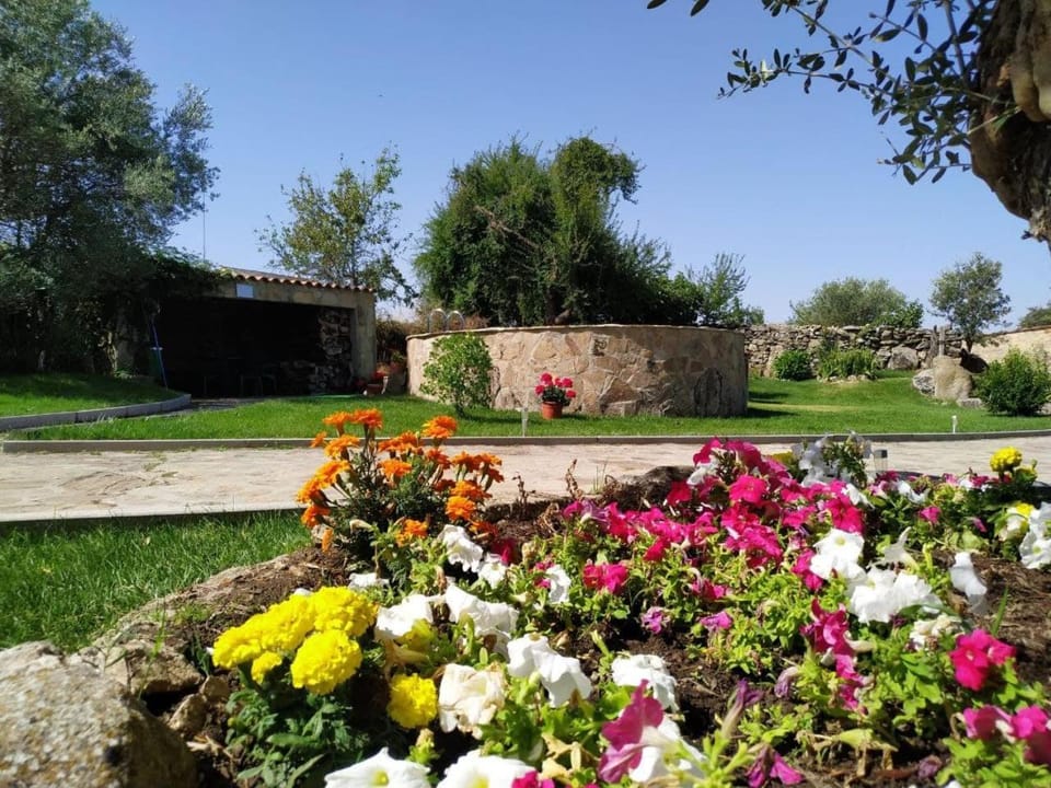 Garden view, Swimming pool