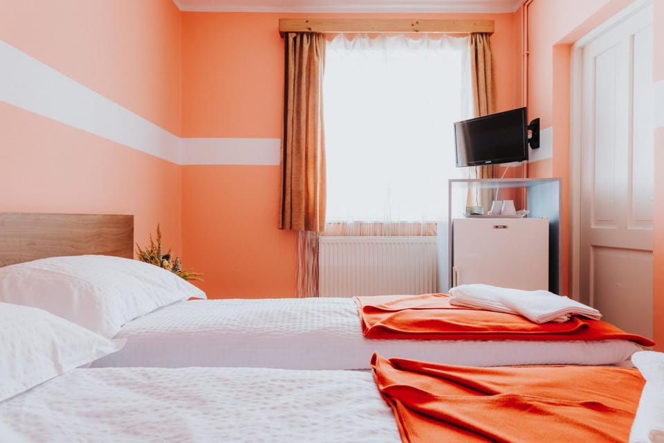 Pension Rose-Trandafirul Bed and Breakfast in Romania