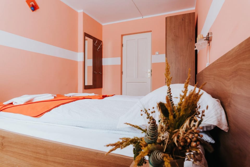 Pension Rose-Trandafirul Bed and Breakfast in Romania