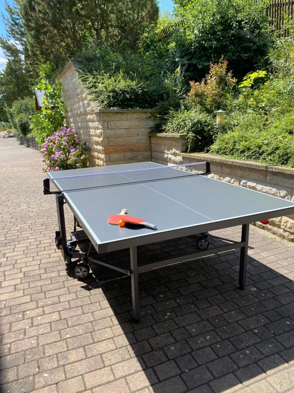 Table tennis