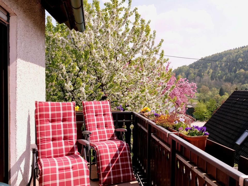 Spring, Day, View (from property/room), Balcony/Terrace, Seating area