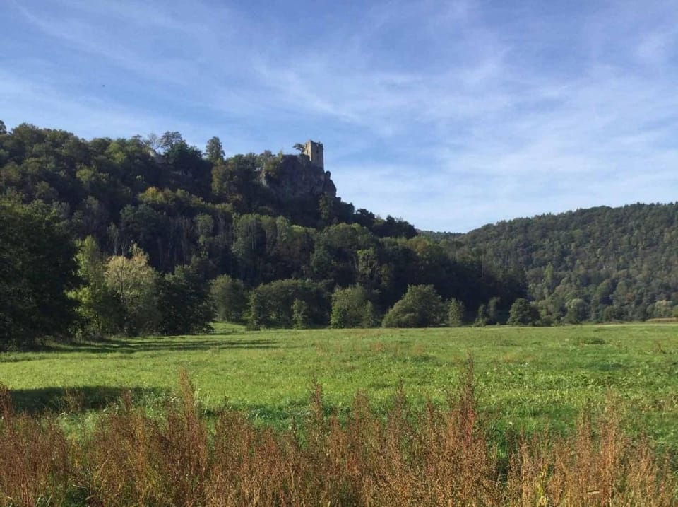 Neighbourhood