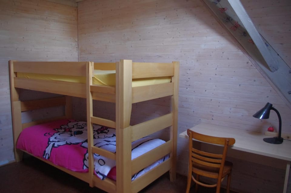 De Cameleon House in Flanders