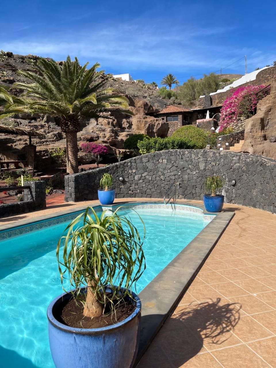 Natural landscape, Pool view, Swimming pool
