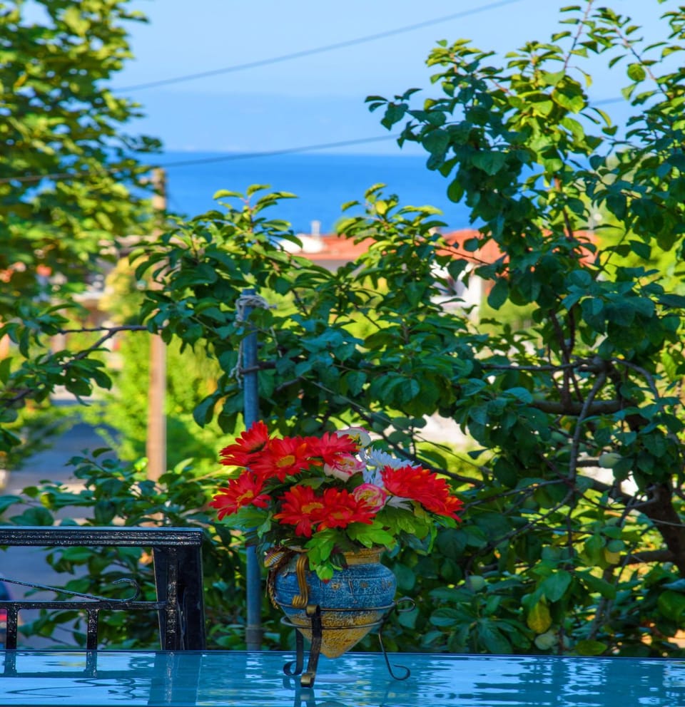 Garden view, Sea view