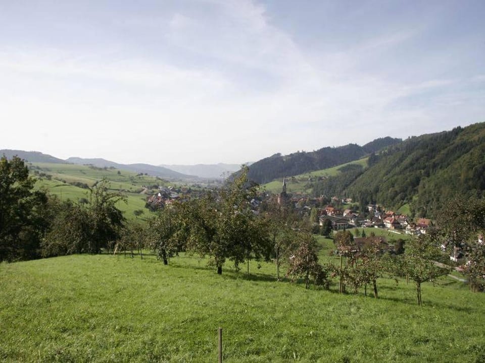 Natural landscape