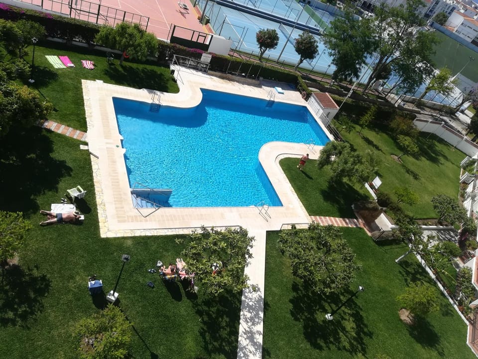 Garden, Garden view, Pool view