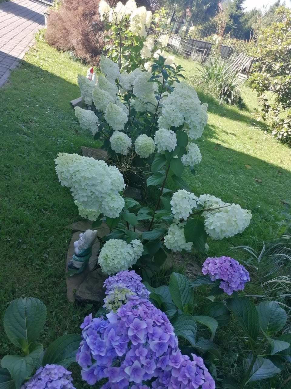 Noclegi u Izy Ustrzyki Dolne Apartment in Poland