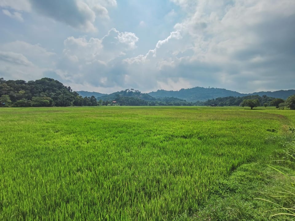 Mountain view