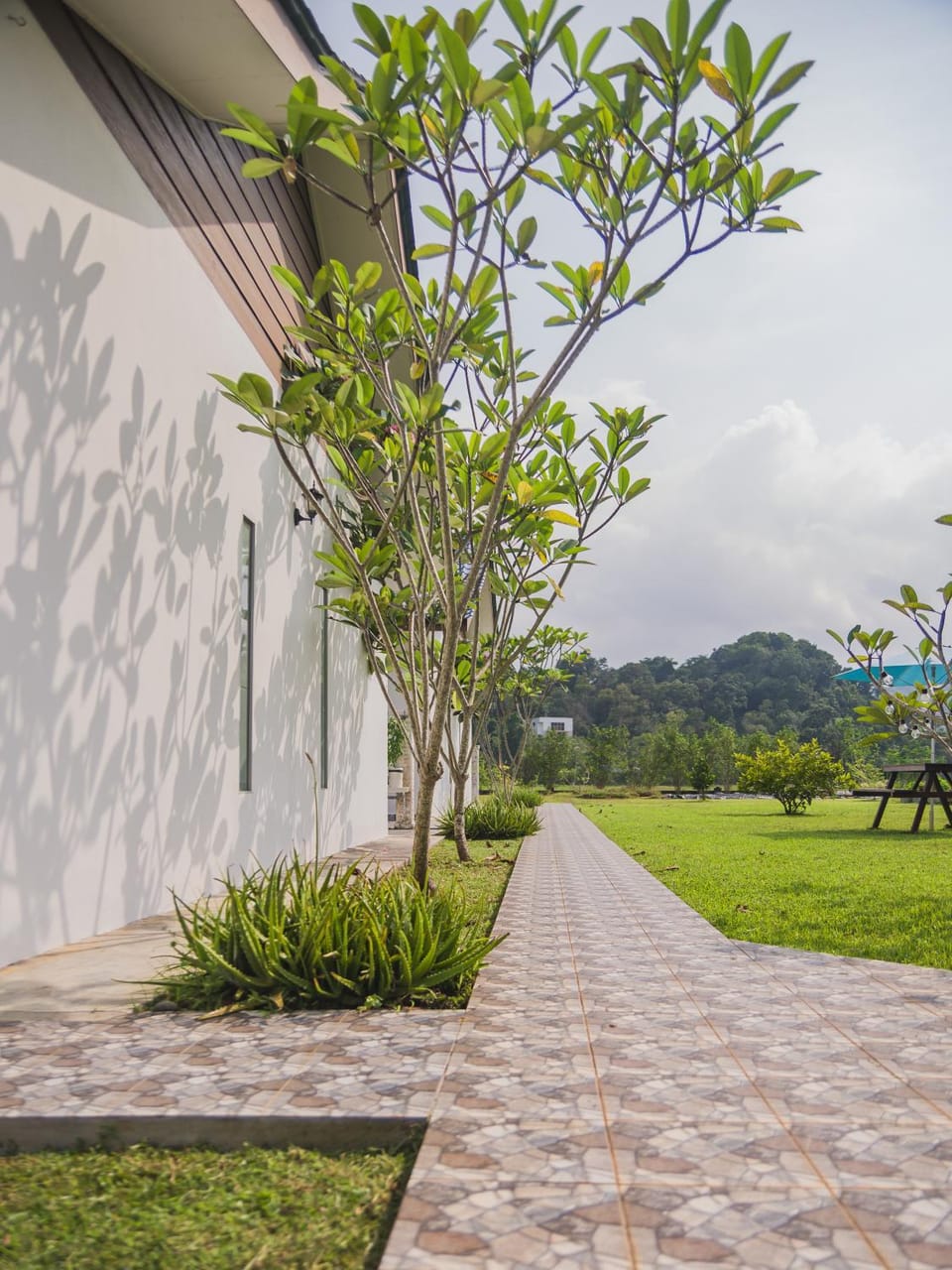 Property building, Day, Natural landscape, Garden, Garden view