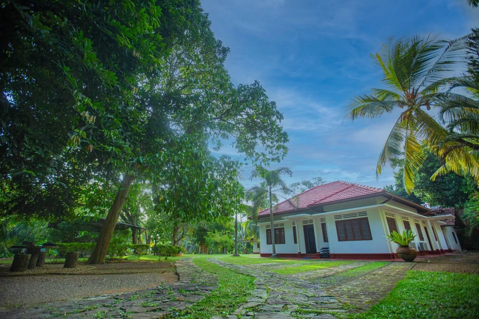 Property building, Spring, Day, Natural landscape, Garden, Garden view