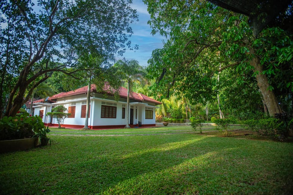Property building, Spring, Day, Natural landscape, Garden, Garden view