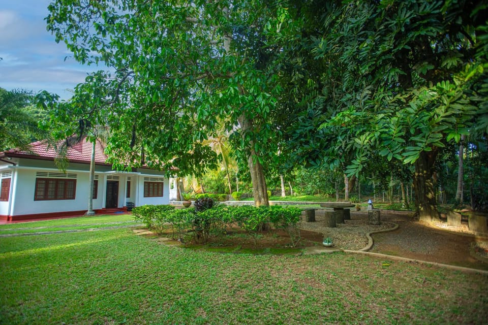 Property building, Spring, Day, Natural landscape, Garden, Garden view