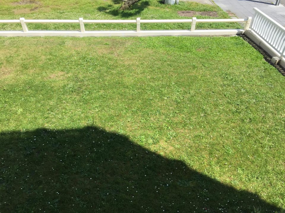 Garden, Garden view