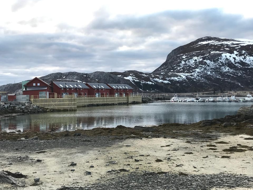 Nappstraumen seafront cabin Cabin in Lofoten
