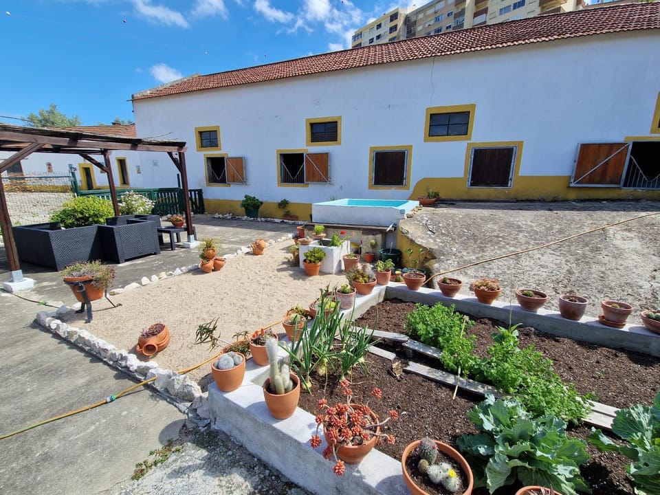 Day, Garden view