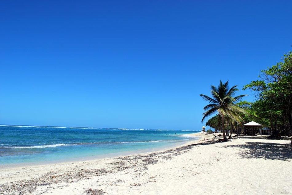 Natural landscape, Beach