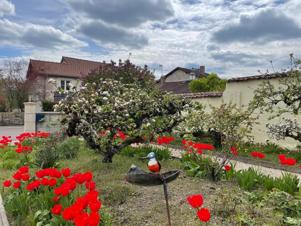 Spring, Garden view