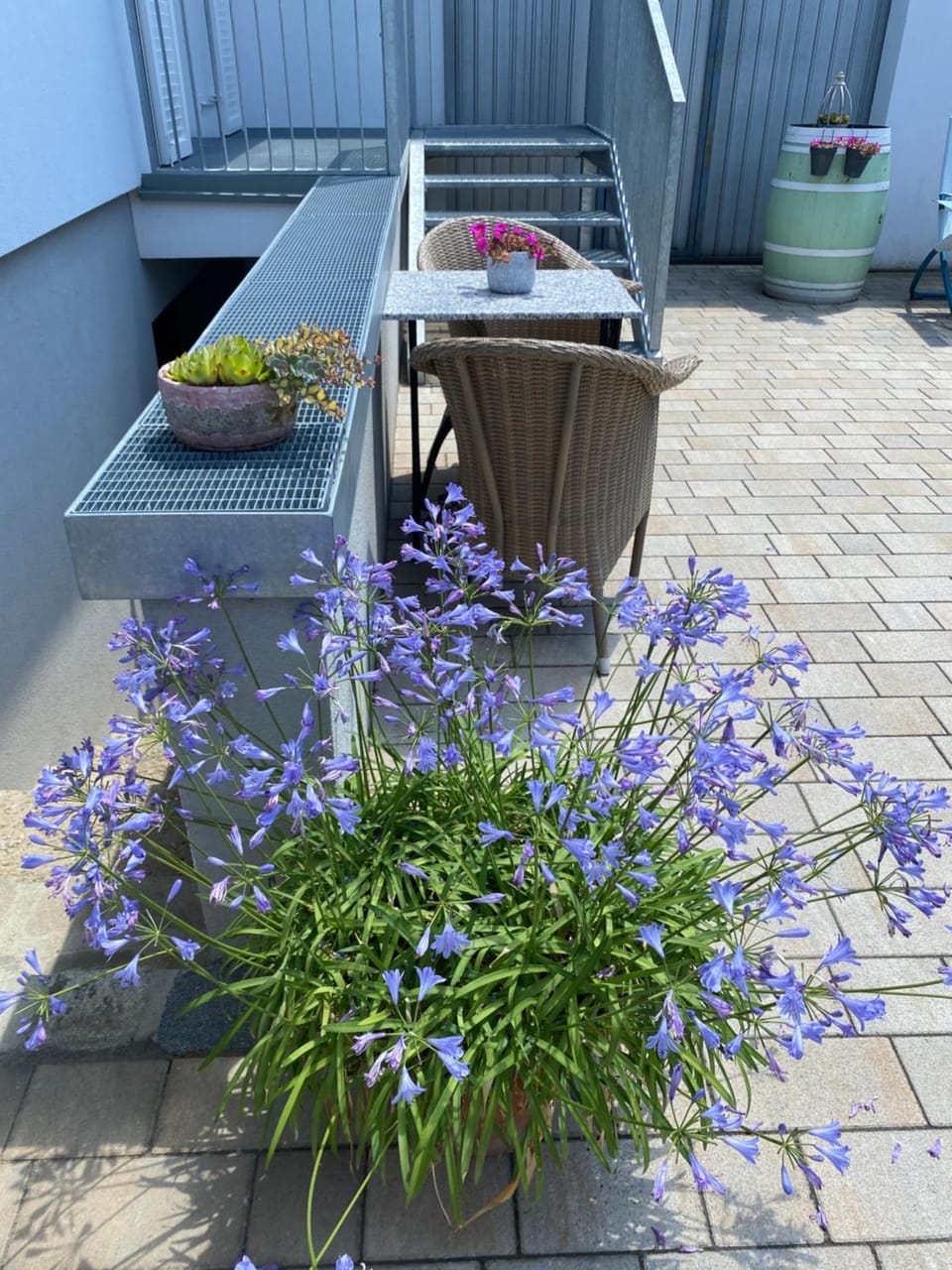Garden, Inner courtyard view