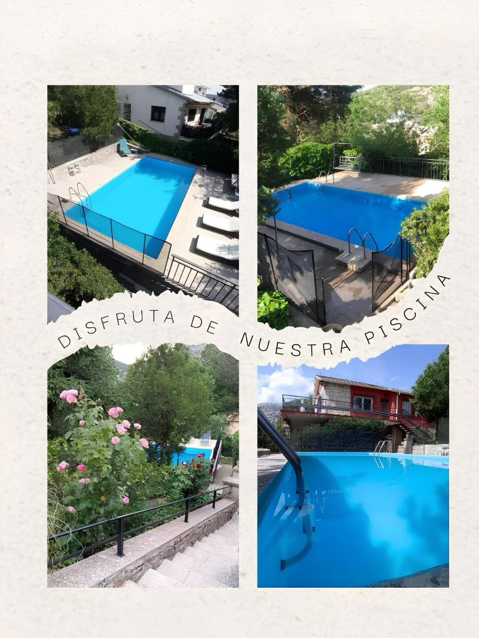 Day, Pool view, Swimming pool, sunbed