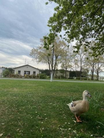 Ashburton Holiday Park Campground/ 
RV Resort in Canterbury