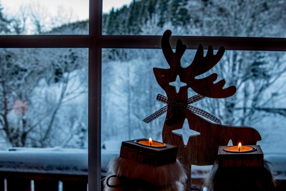 Winter, Garden view, Mountain view