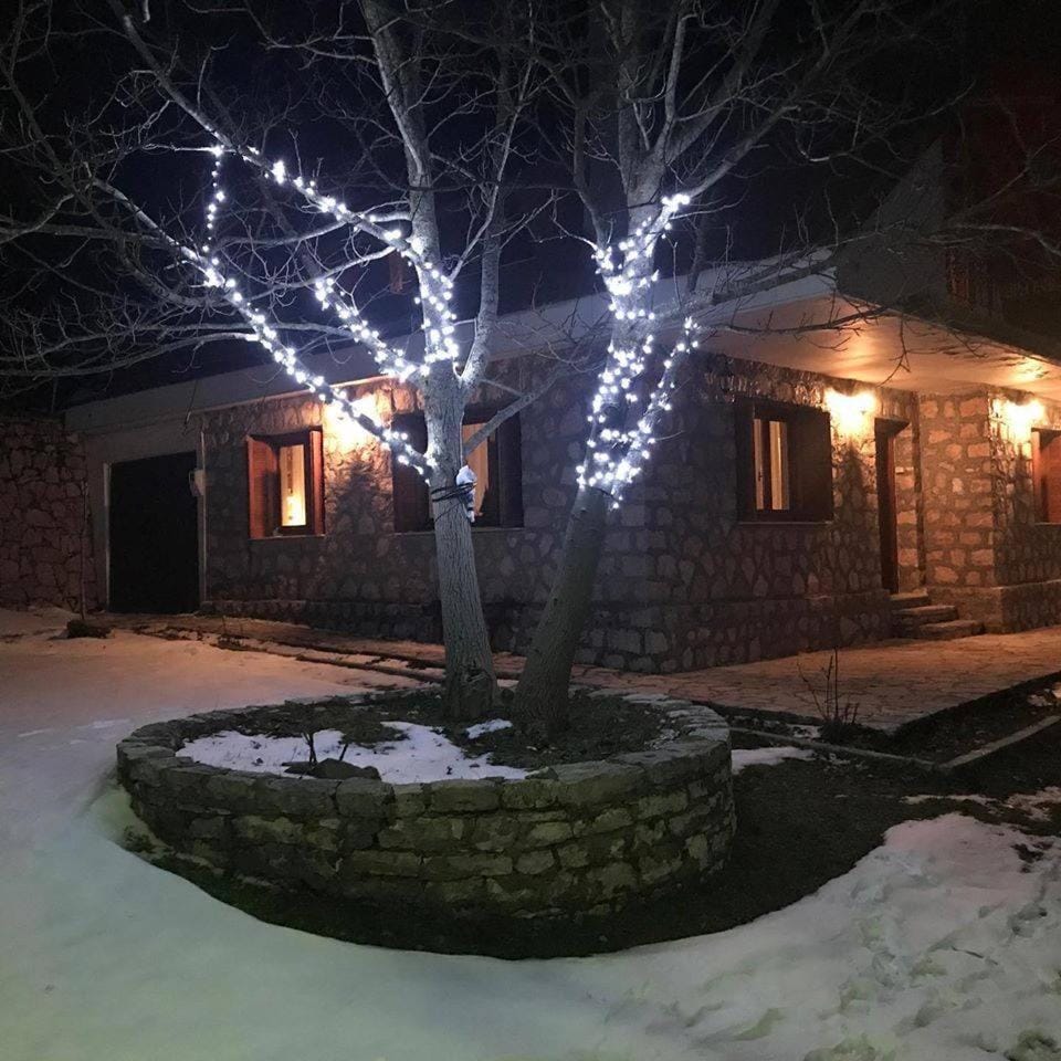 Winter, Seasons
