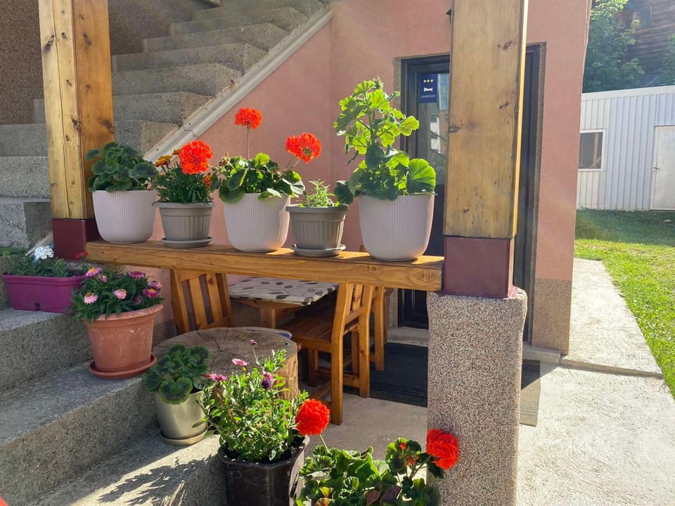 Apartman KALJEVIĆ Apartment in Montenegro