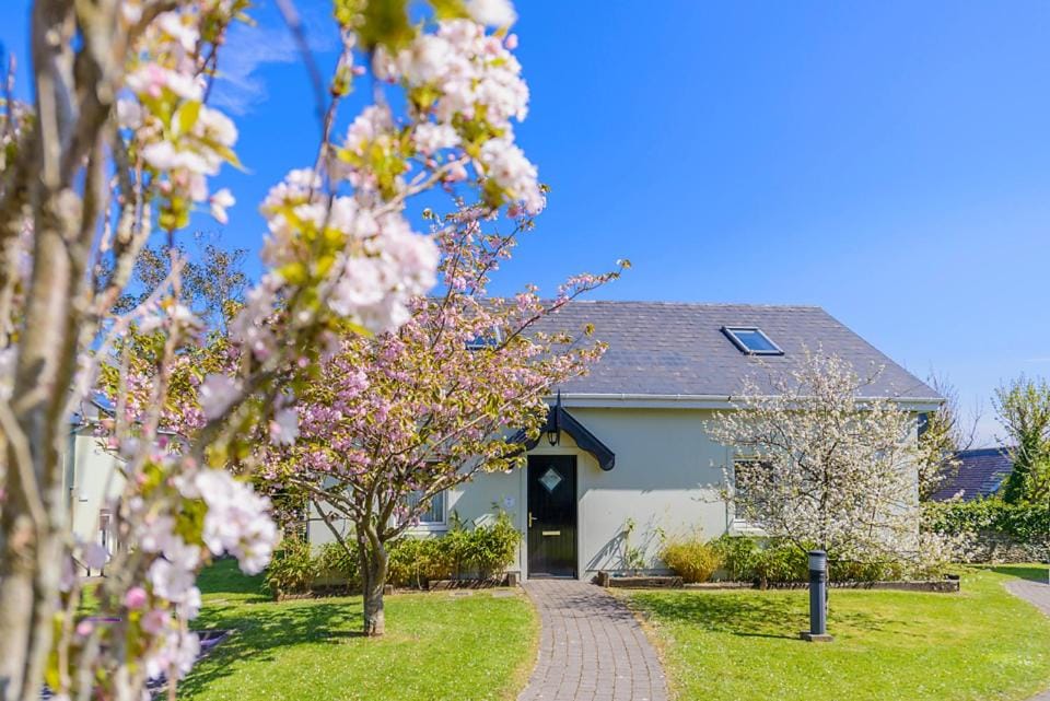 Dingle Centre Townhouse An Capall Dubh Dingle House in Dingle
