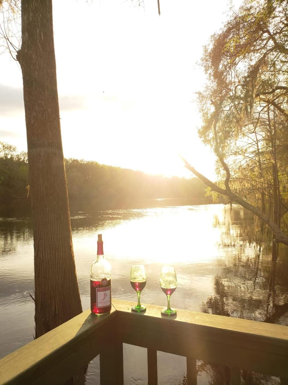 MARGARITAVILLE ON THE SUWANNEE RIVER House in Florida