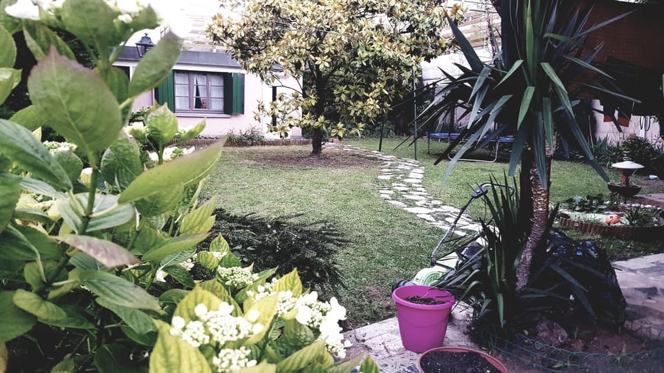 Facade/entrance, Garden