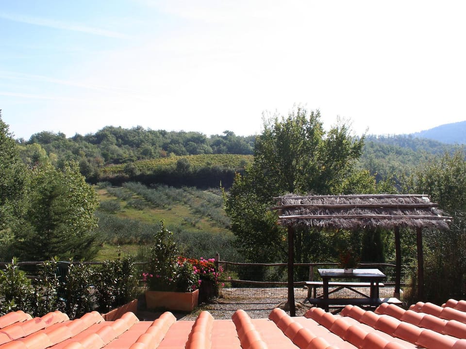 View (from property/room)