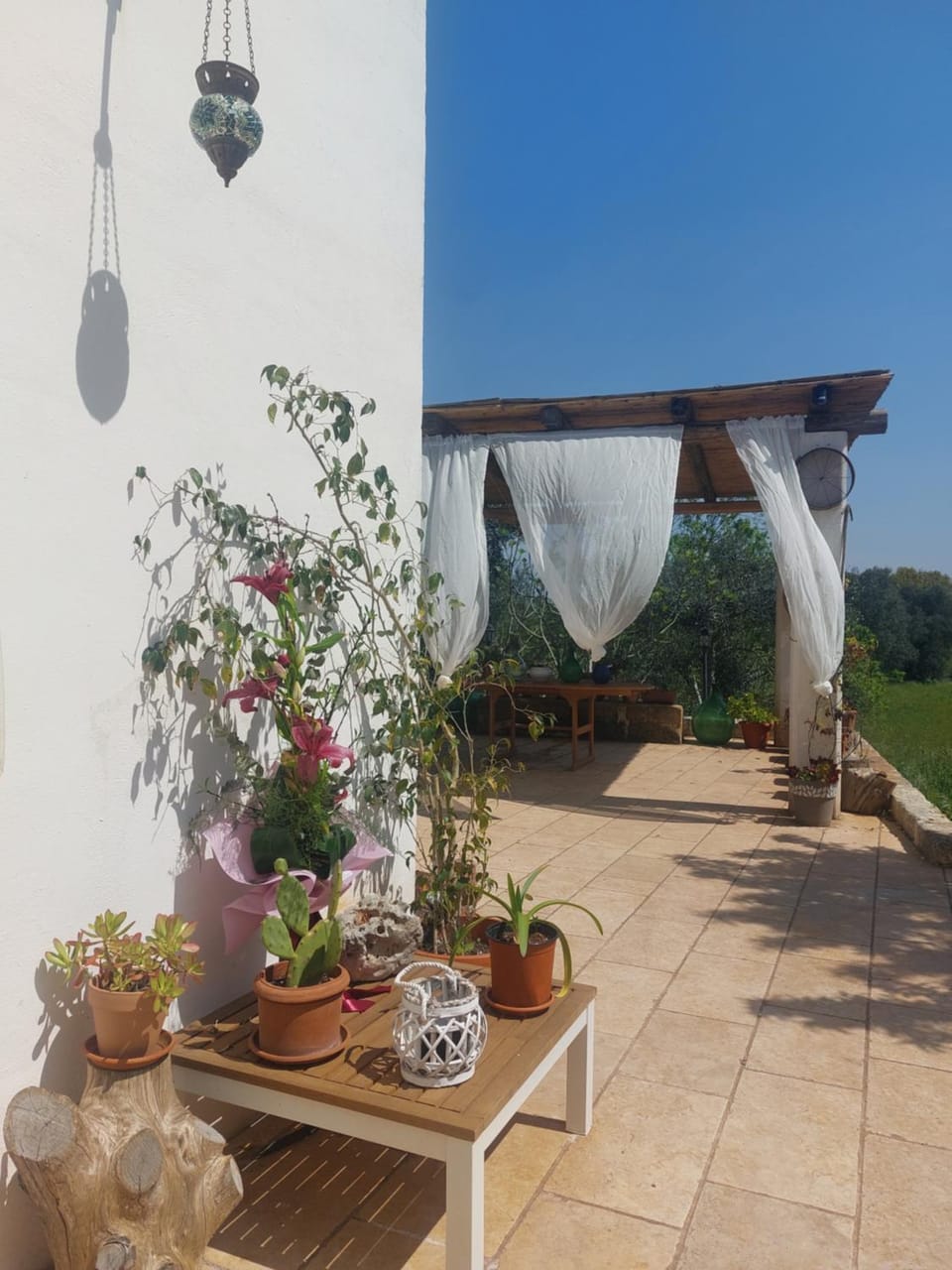 Physis b&b-a casa di Clio Bed and Breakfast in Province of Taranto