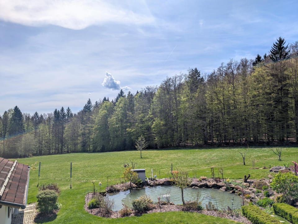Nearby landmark, Spring, Day, Natural landscape, Garden, View (from property/room), Hiking, Text overlay, Garden view
