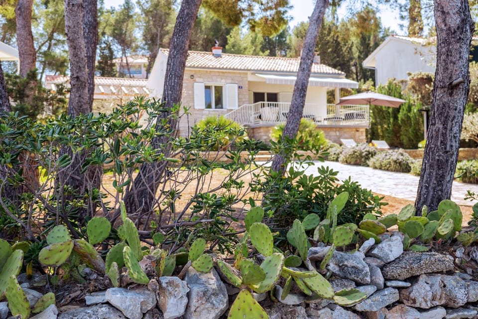 Garden, Garden view