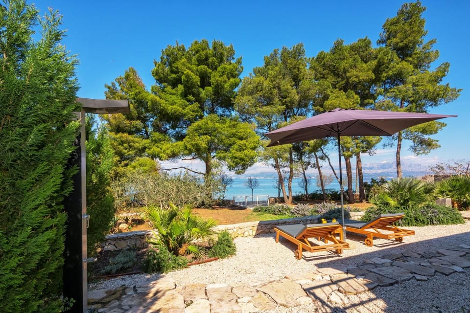 Garden, Sea view, sunbed