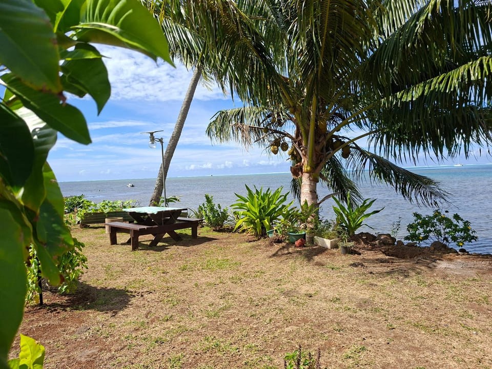 Tehuarupe Surf Studios Apartment in Moorea-Maiao