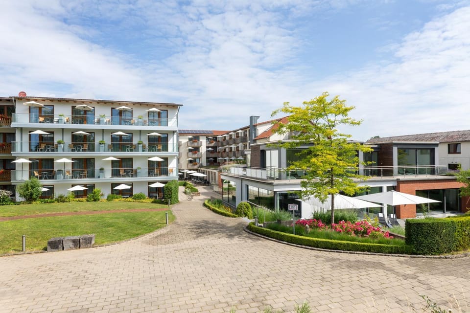 Property building, Garden, Garden view