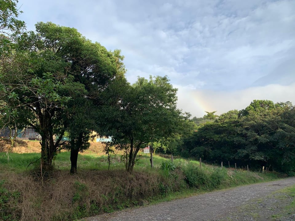 Natural landscape